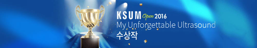 KSUM Open 2017 My Unforgettable Ultrasound